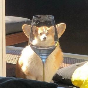 Meet your Posher, Jose